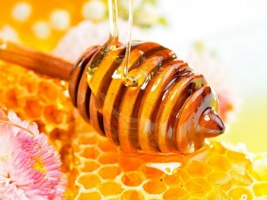 cara budidaya lebah madu singkat - budidaya lebah madu cara ternak lebah madu cara budidaya lebah madu manfaat madu untuk kesehatan khasiat madu kandungan madu lebah madu 300x225