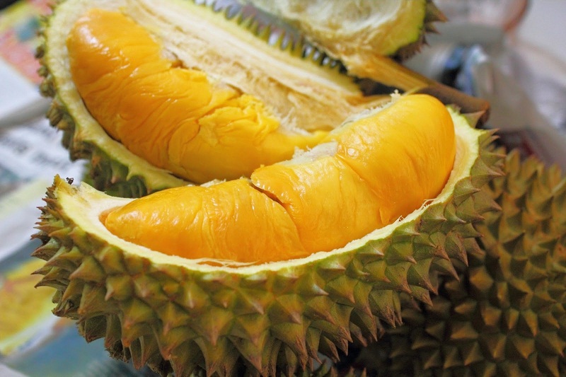 gambar durian montong image