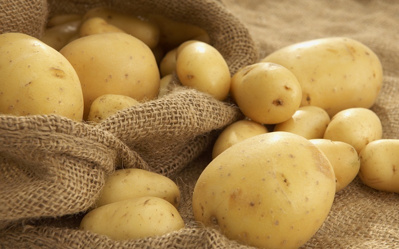 gambar cara menanam kentang image