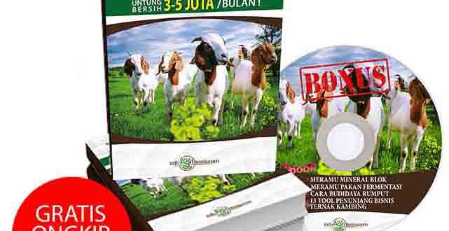 Buku Ternak Kambing Skala Kecil Untung 3 5 Jt Bln