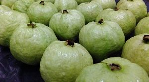 Budidaya jambu kristal